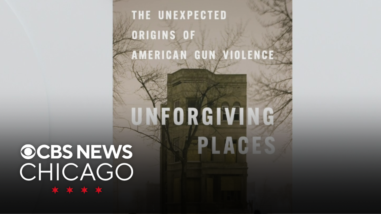 Unforgiving places: The unexpected origins of American gun violence