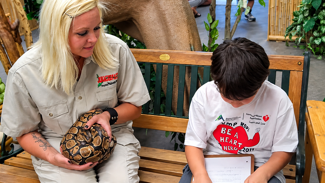 A school project turns into a real reptile adventure