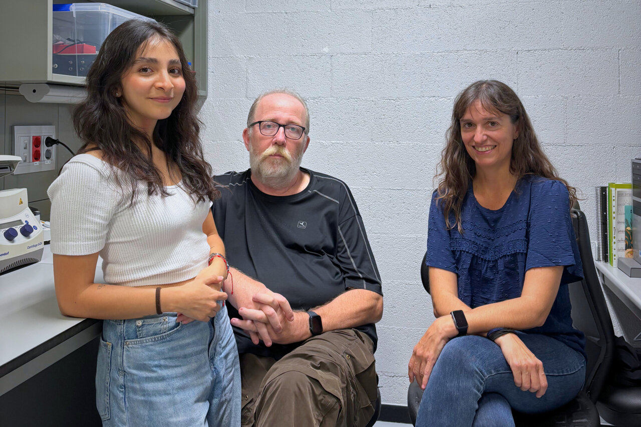 Lab-designed molecule reduces amyloid beta, the protein linked to ...