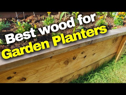 The ultimate guide to choosing the best wood species for raised bed ...
