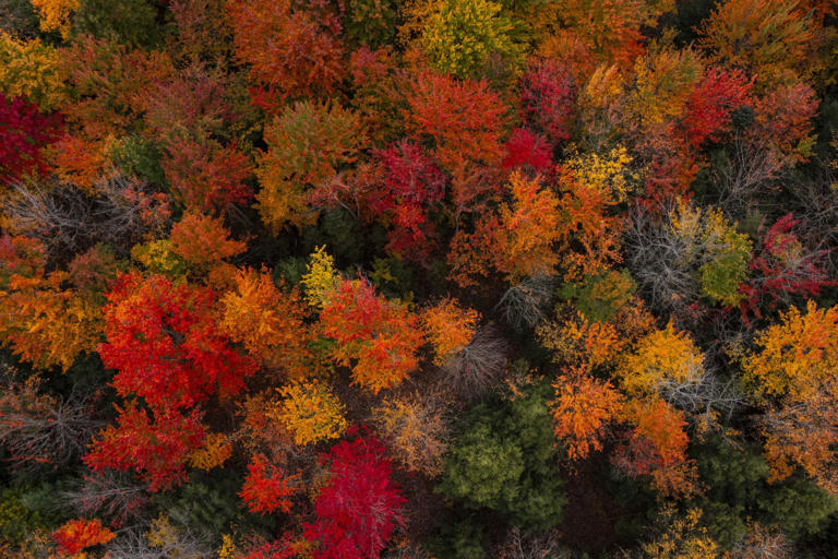 Fall has arrived in Northern Michigan and these photos show off the ...