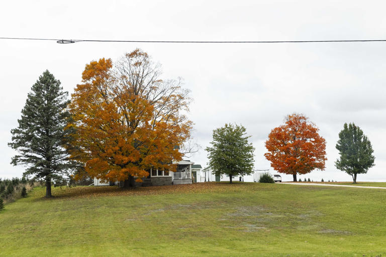 Fall has arrived in Northern Michigan and these photos show off the ...