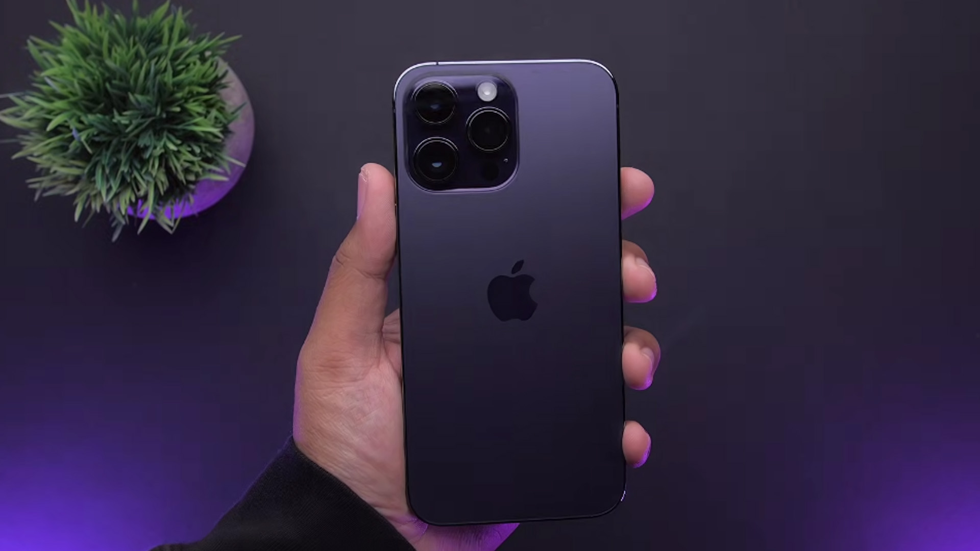 iPhone 14 Pro Max after 6 months of daily use