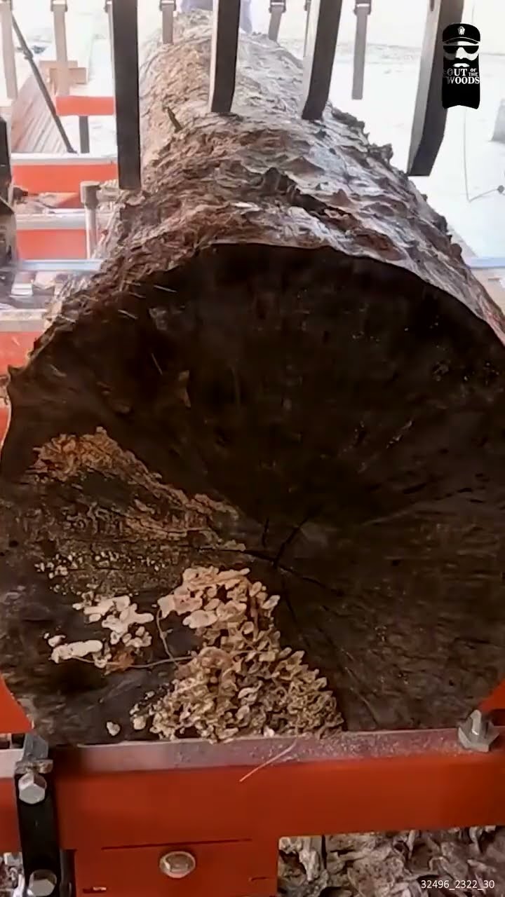 Not every day at the sawmill goes according to plan