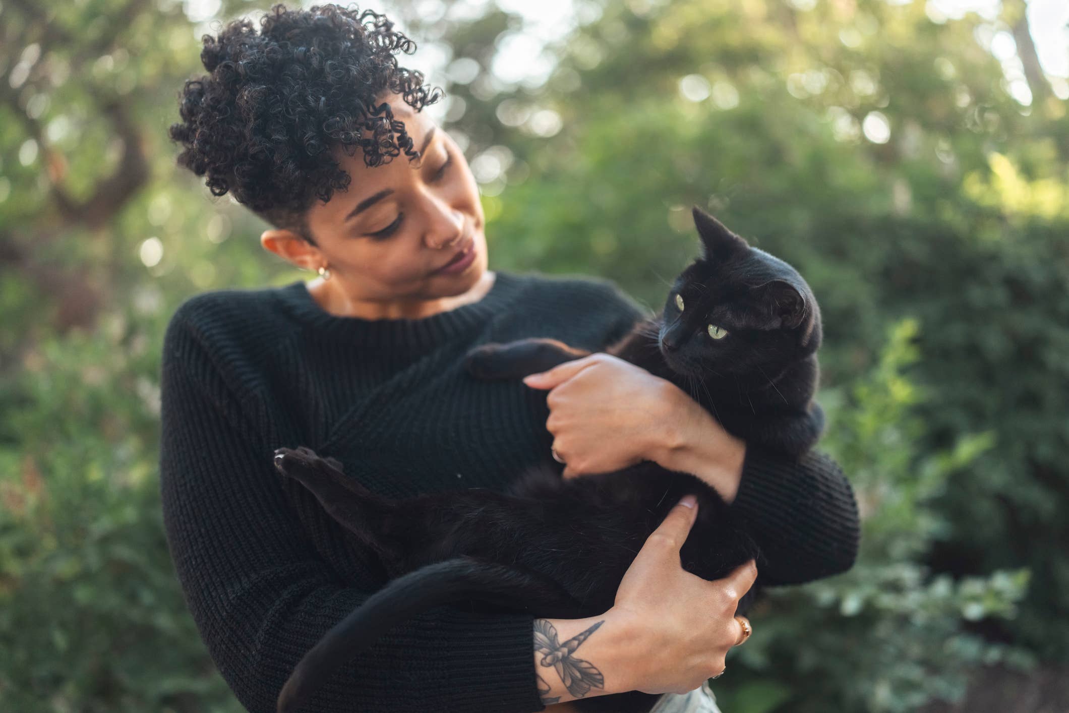 How 'Black Cat Energy' can lead to emotional isolation in your ...