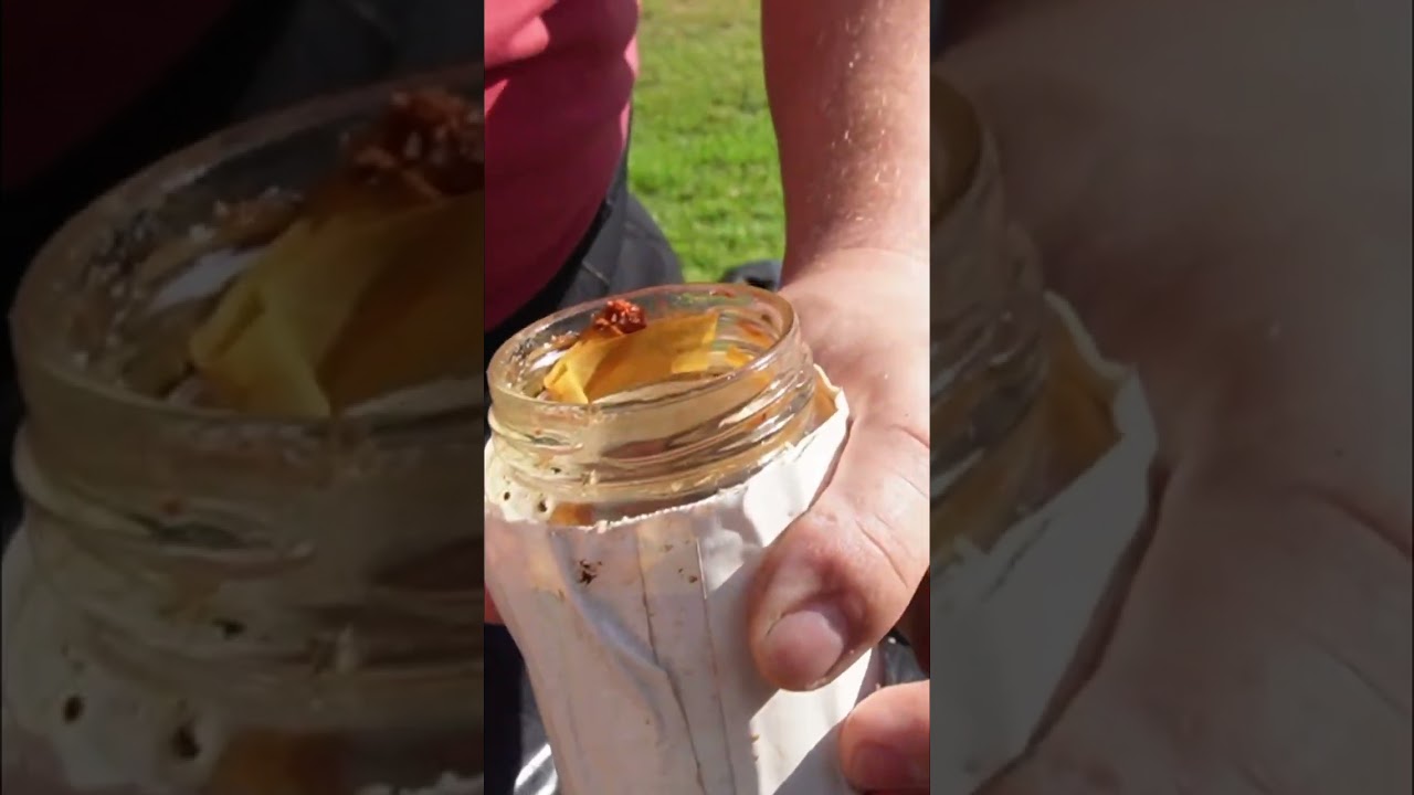 I found a cursed jar in the river