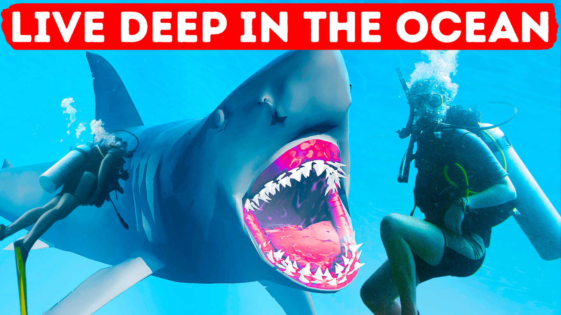 8 deep sea sharks will make your body go cold