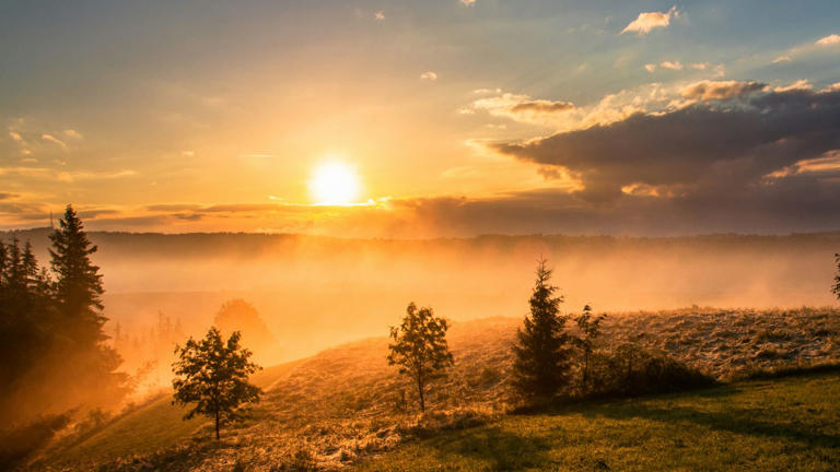 The unexpected reason why your brain craves a structured morning routine