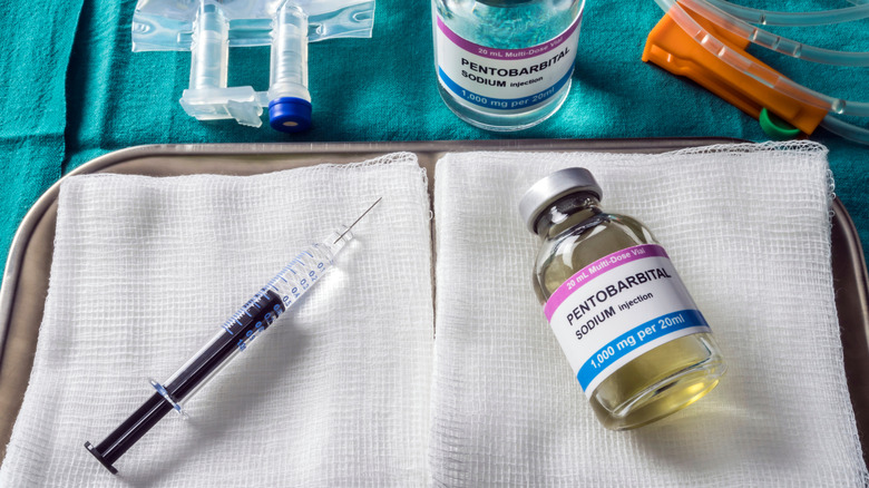 Christa Pike survived two lethal injections. Here's how that can happen