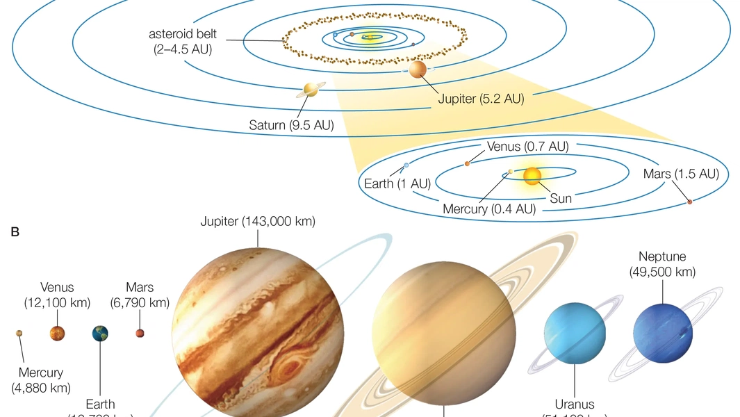 8 planets ranked by size and mass
