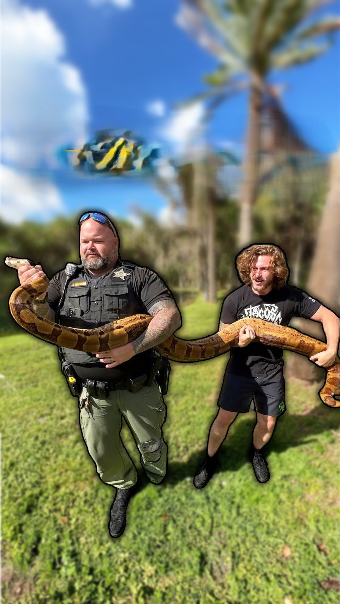 Police called about a large boa