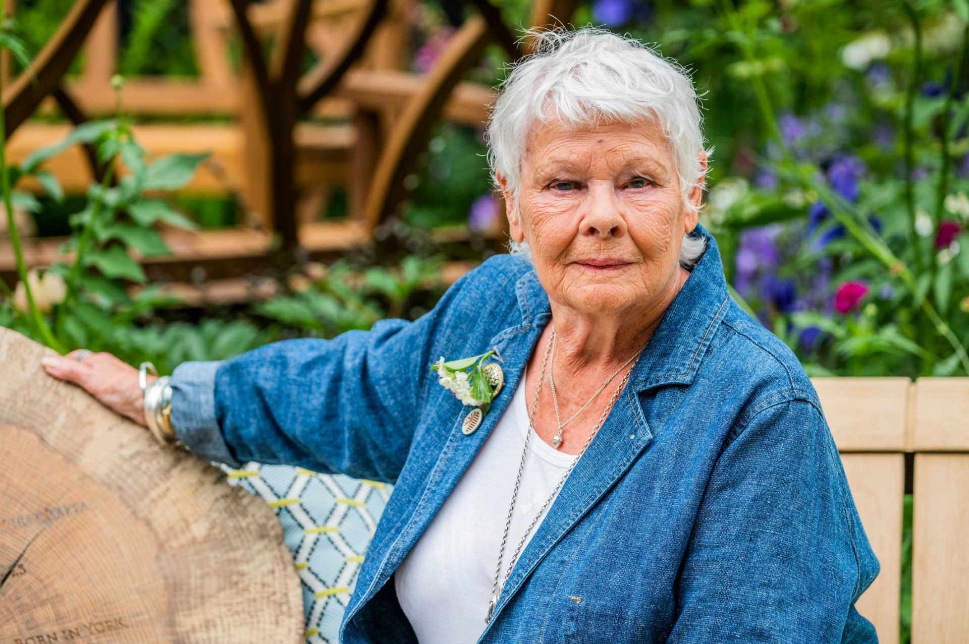 Judi Dench calls her own film – 2019's Cats – a waste of talent