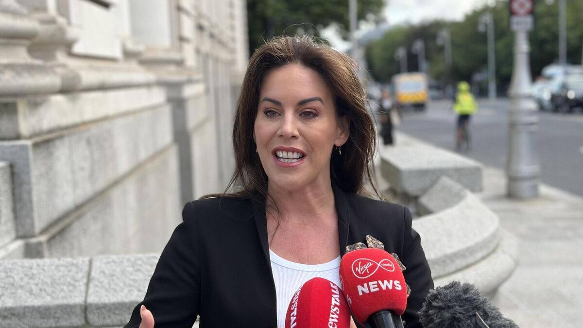 Hospital consultants criticise health minister for missing annual ...
