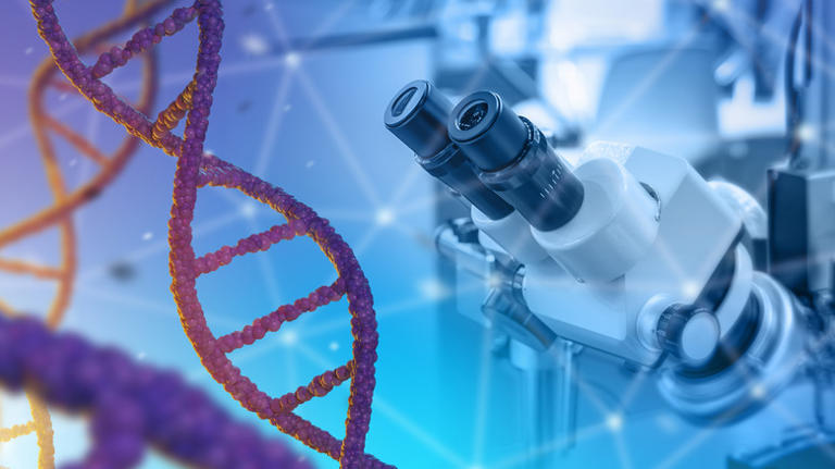 'Junk DNA' may actually play a vital role in gene control
