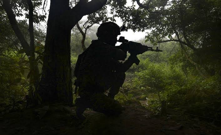 Two terrorists killed in Kupwara operation along LoC