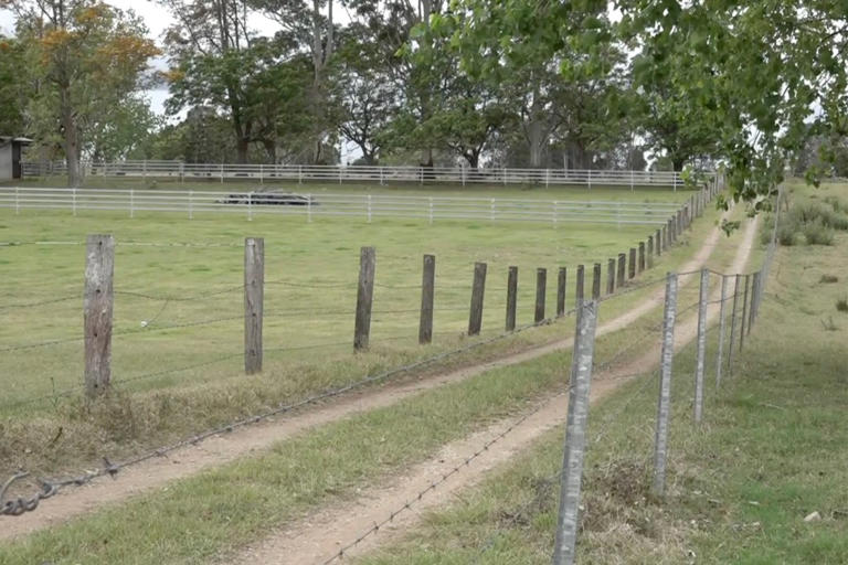 5-year-old Australian boy found dead after being duct-taped to sleeping ...