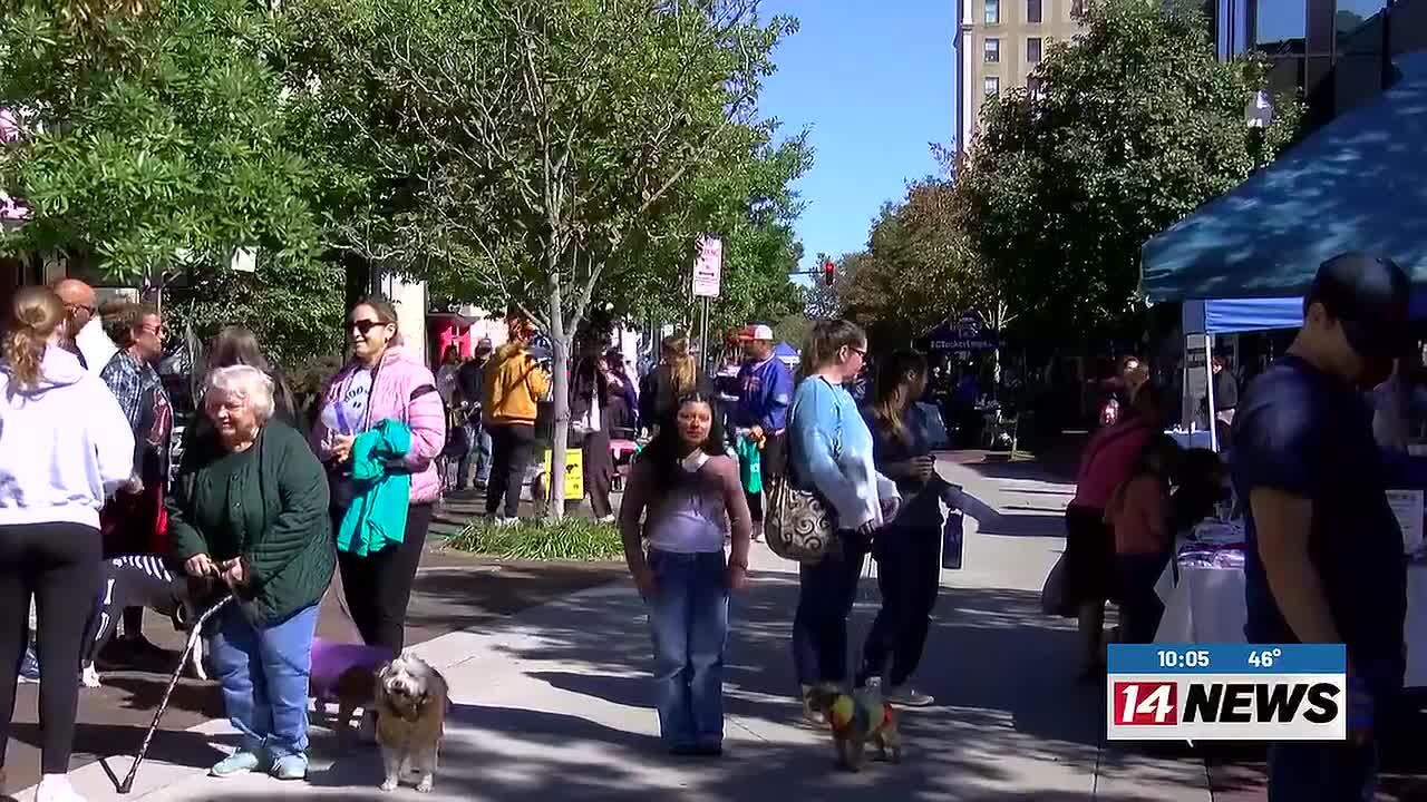 Thousands of dogs take over Main Street for Dog Day Downtown