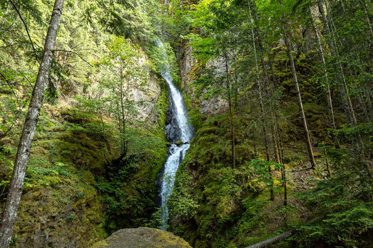 Four Gorge waterfalls sit along one easy trail, and the first is a 50 ...