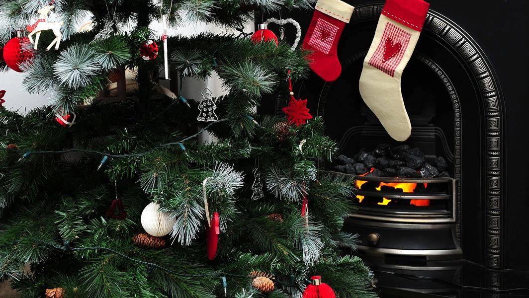 First Sunday of Advent tipped as ideal Christmas tree date