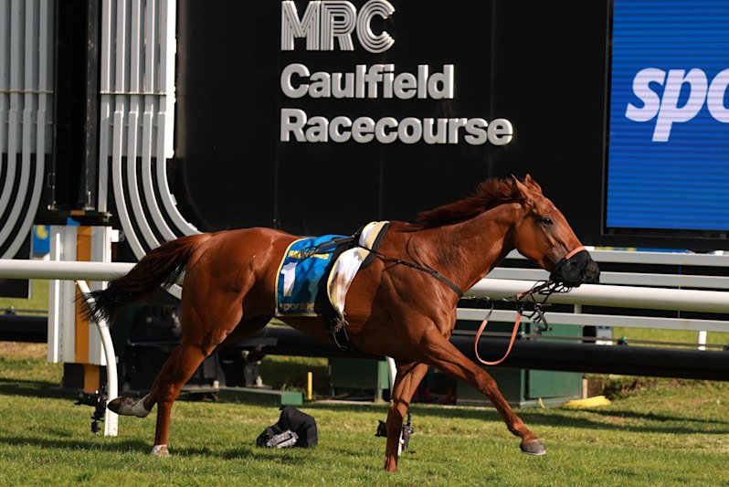 Risks unavoidable, says Racing Victoria, amid fallout from Caulfield ...
