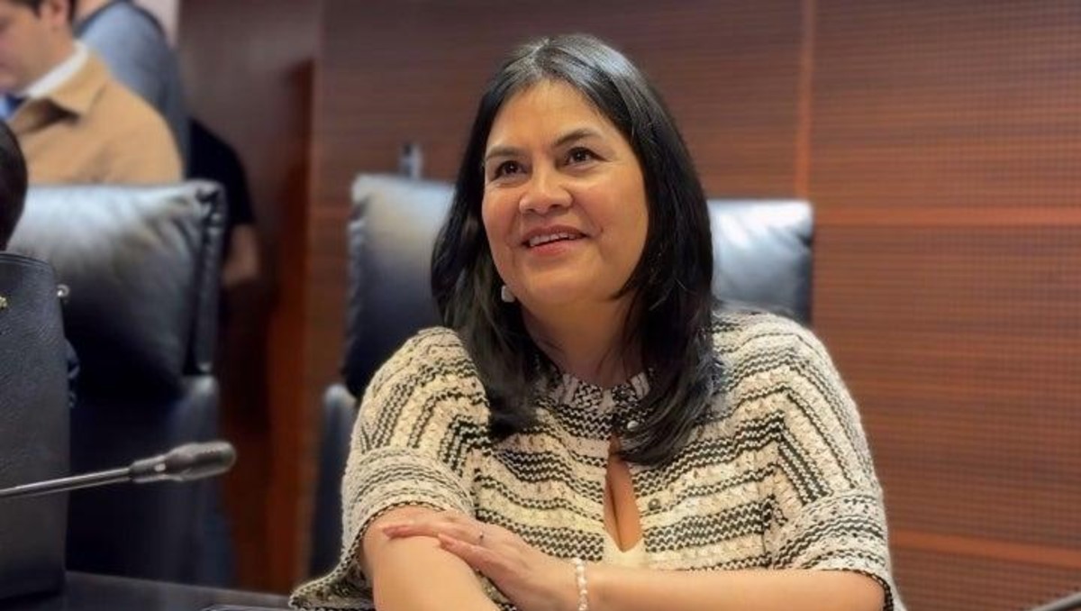 Guadalupe Chavira pide a estados replicar promesa de Brugada de no ...