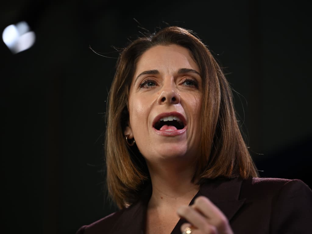 Senior Lib grilled on $1069 taxpayer-billed 'parking costs'