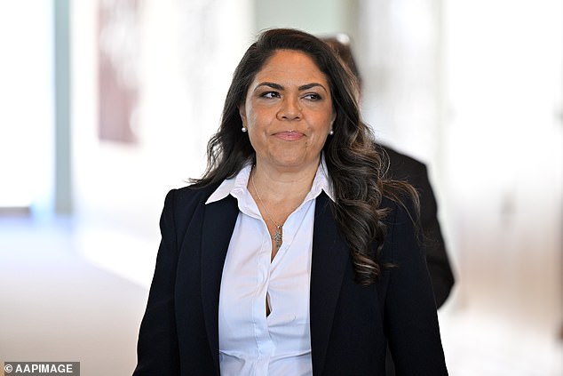 Labor admits it knew ATO was considering credit card ban months before ...