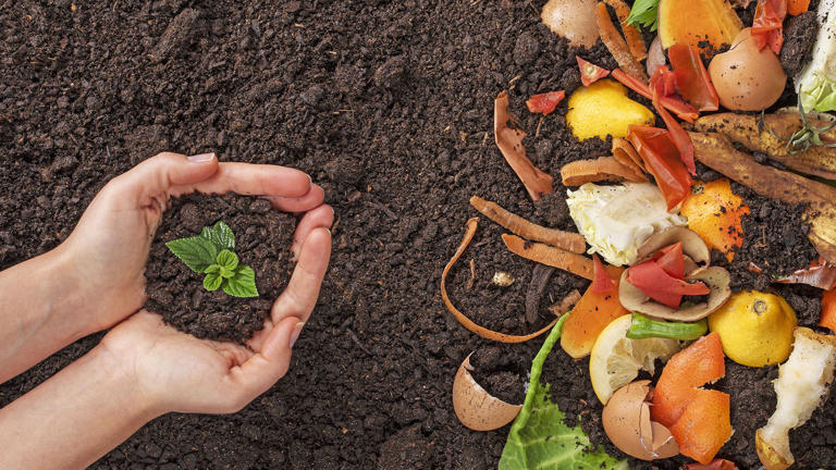 My 6-ingredient fall soil recipe turns kitchen scraps into garden gold ...