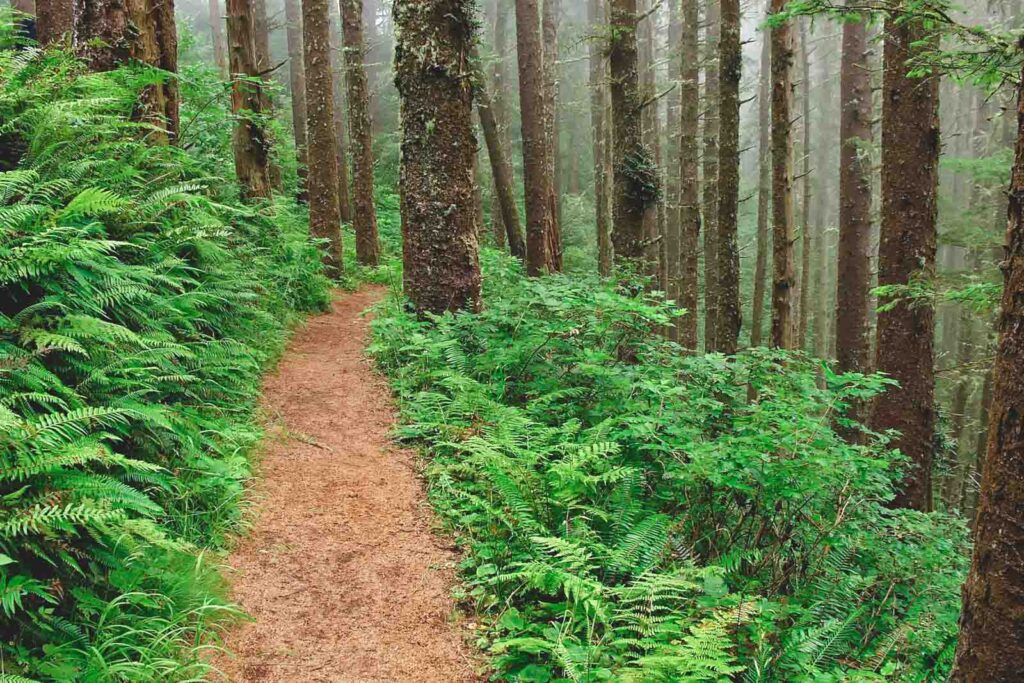 Cape Lookout State Park is closed for construction into 2027, but the ...