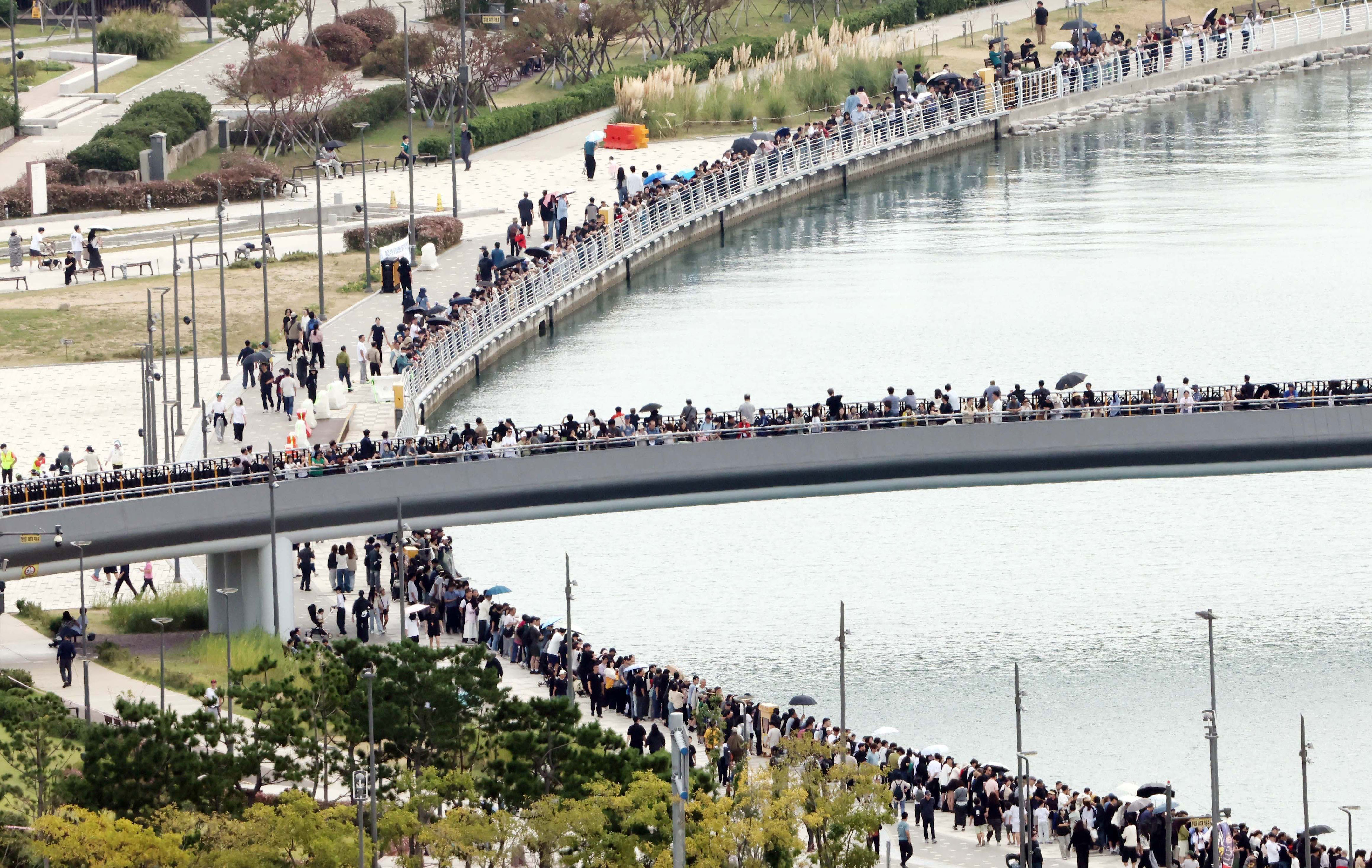 Dusky shark Bukangi draws 1.5 million visitors to Busan park
