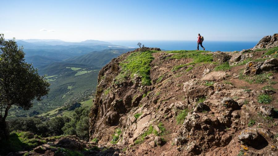 Guspini, stop al parco agrivoltaico alle pendici del monte Arcuentu