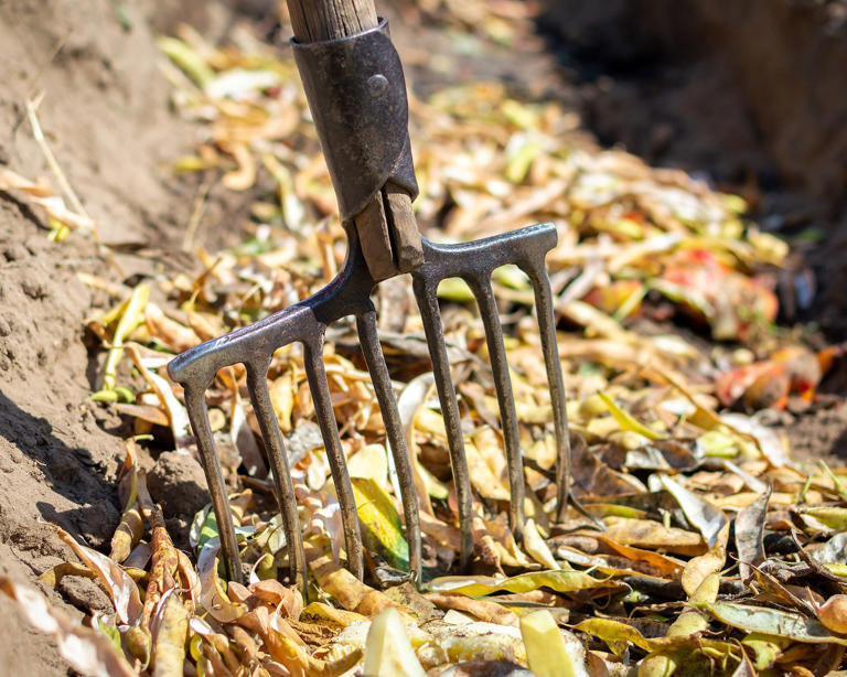 My 6-ingredient fall soil recipe turns kitchen scraps into garden gold ...