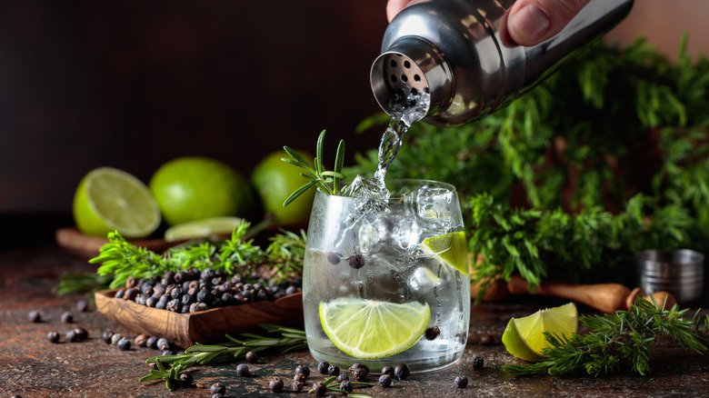 15 best gins for making your next gin and tonic