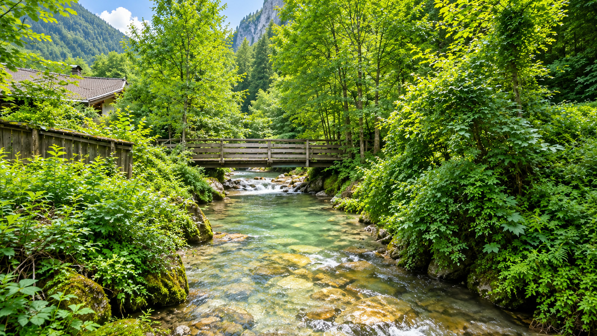 Walking through Seisenbergklamm gorge in Austria (4K)