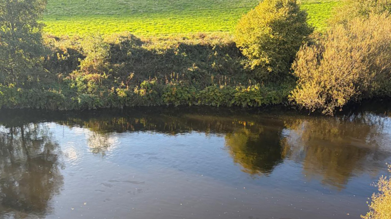Fuel leak which killed fish in River Taff stopped
