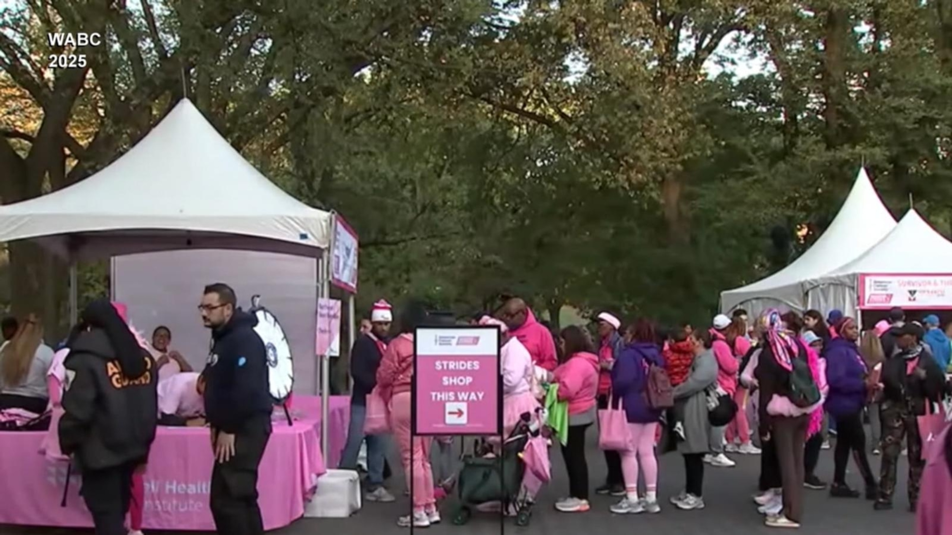 American Cancer Society hosts 150 'Making Strides Against Breast Cancer ...