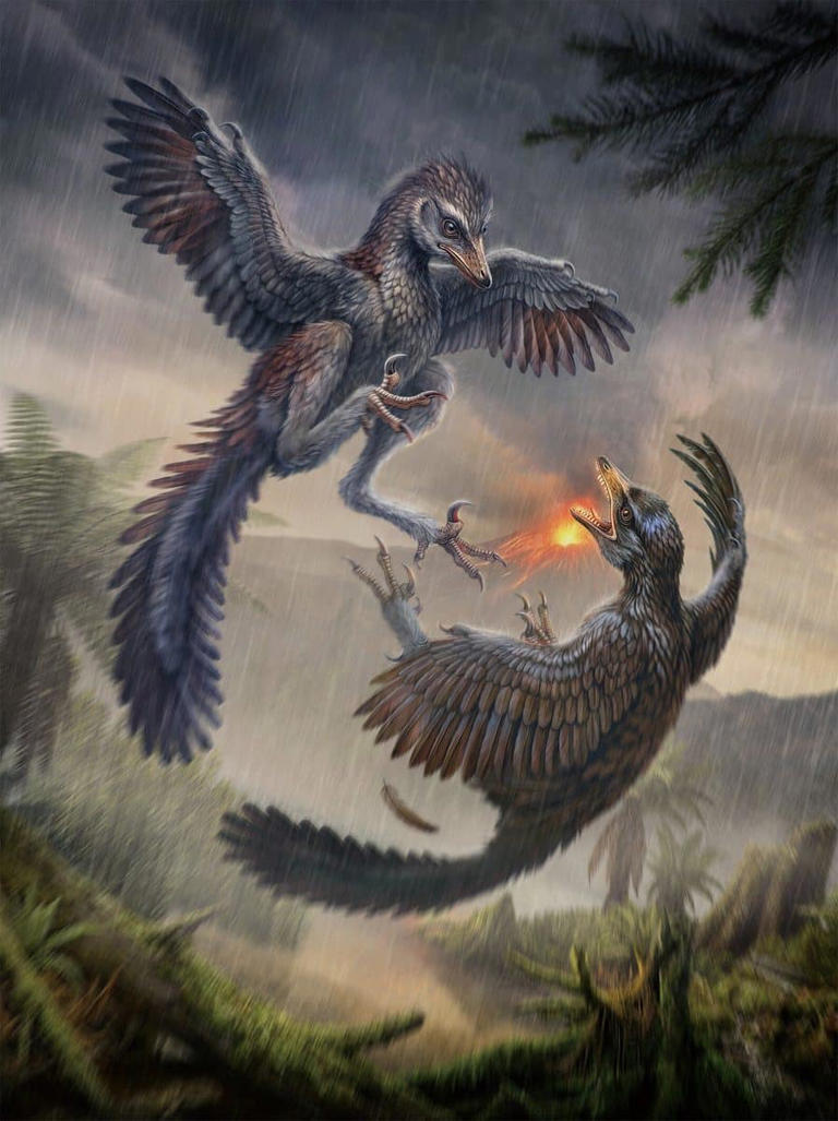 Neither bird nor dinosaur, the 0.8-kilogram Jurassic predator ...