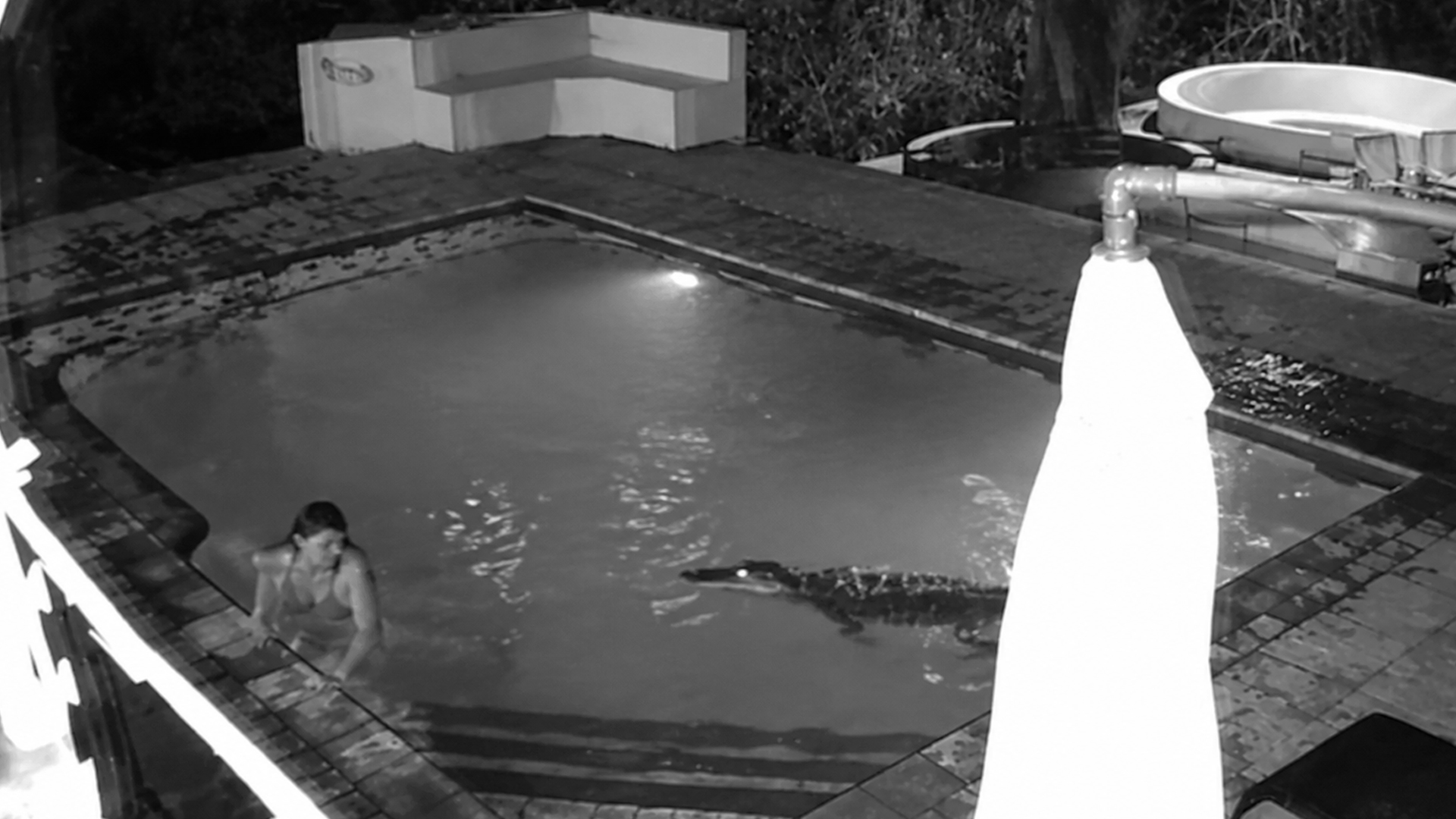 An alligator interrupted their romantic pool moment
