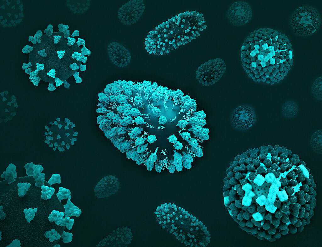 Nearly 1 in 8 cancers worldwide are caused by infections. Many could be ...
