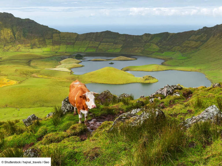 Corvo : au cœur des Açores, cette île de 17 km2 est un paradis pour les ...