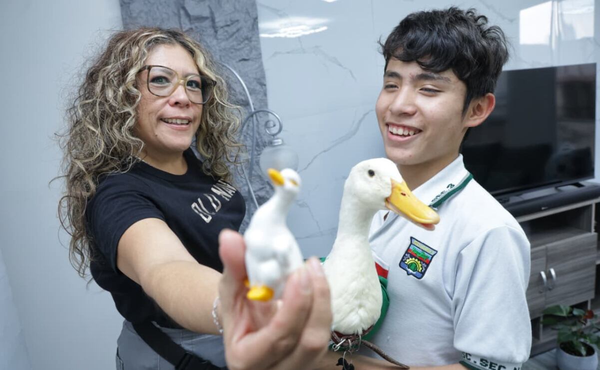 ¿Y qué pasó con el Pato Merlín, la mascota no oficial de México en el ...