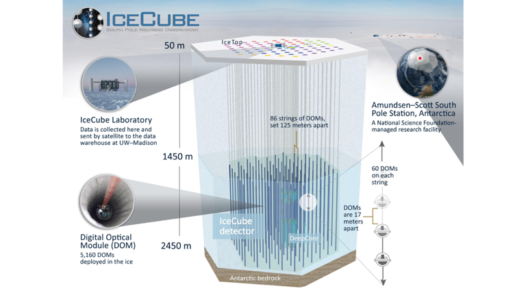 Understanding neutrinos: The research that led to the 2026 Nobel Prize ...