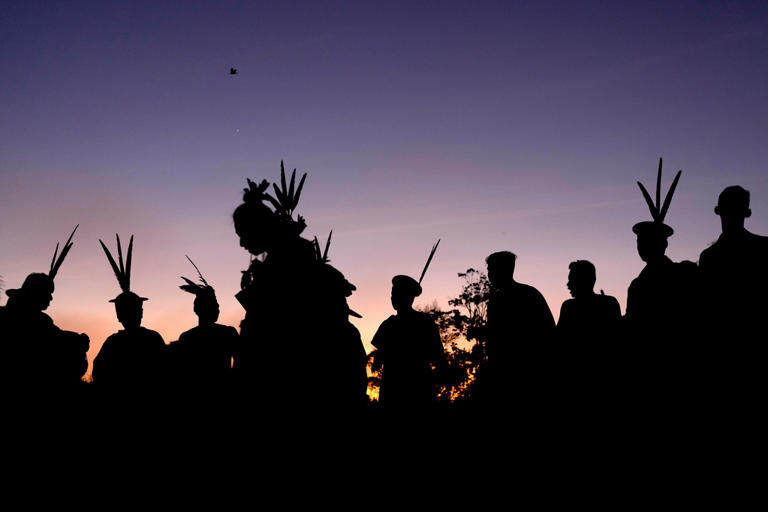 Criminal networks threaten the Amazon. Indigenous leaders want the UN ...