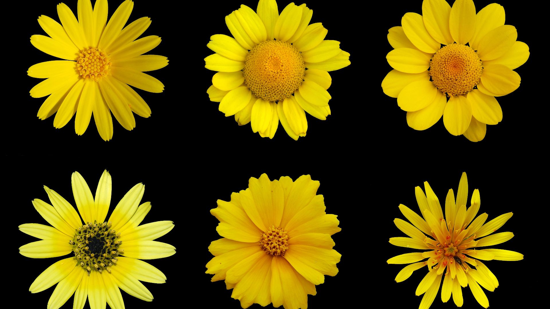 10 color pairings that always look good & 10 that clash hard