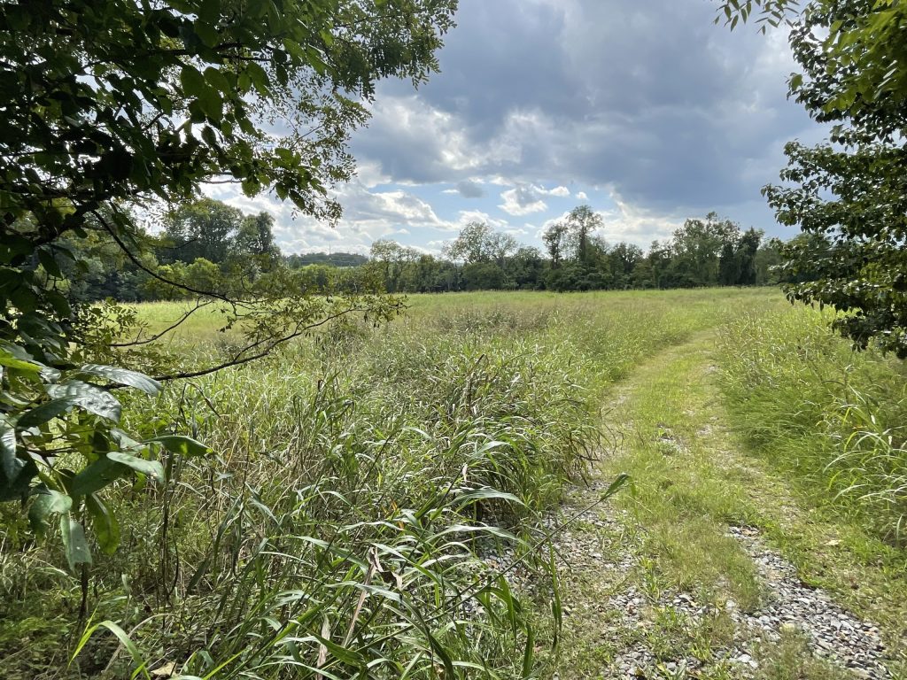 After 12 years of planning, Enka trail project is dead