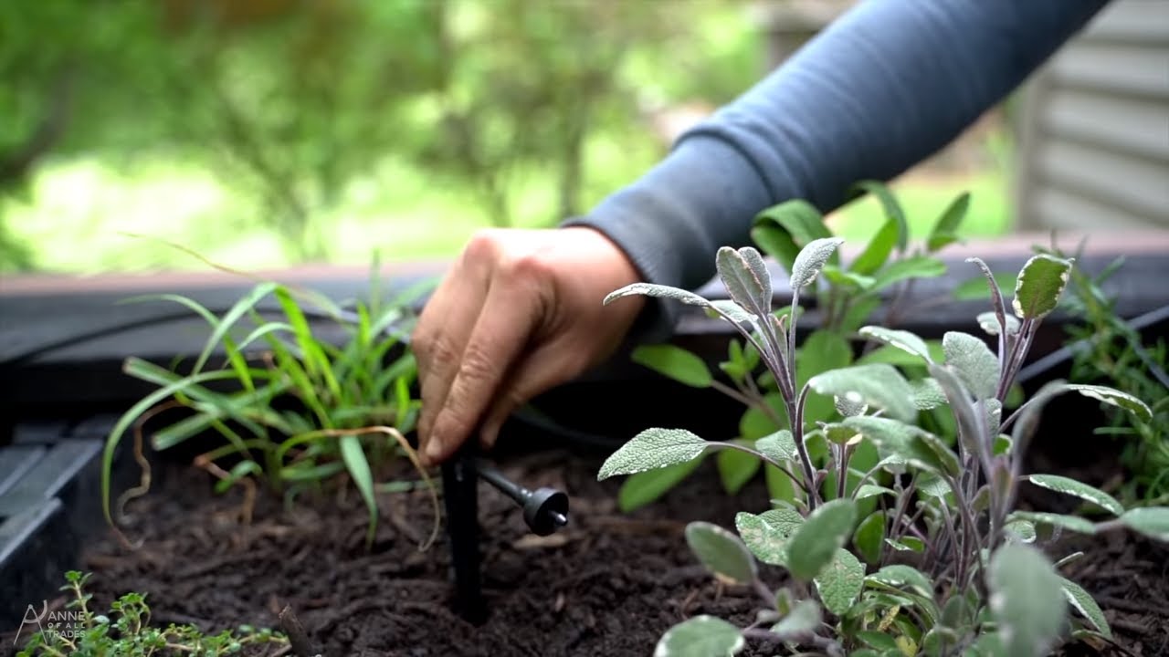 How to build a self-watering raised garden box