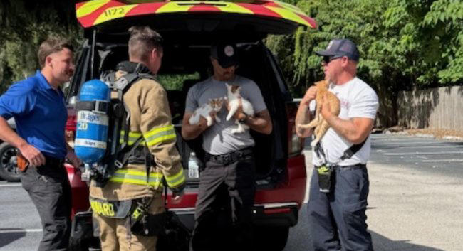 Pets saved, 5 displaced after morning fire hits Winter Haven apartments
