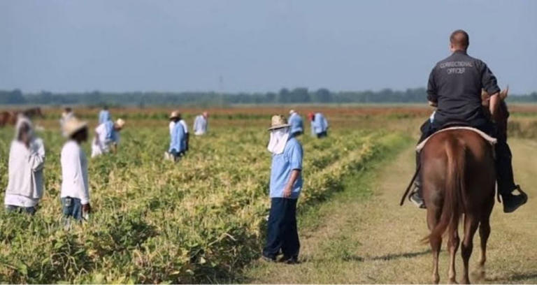 Why Angola prison in Louisiana has been called the ‘Alcatraz of the South’