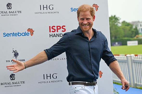 Charity's defamation claim against Prince Harry paused amid fear of ...