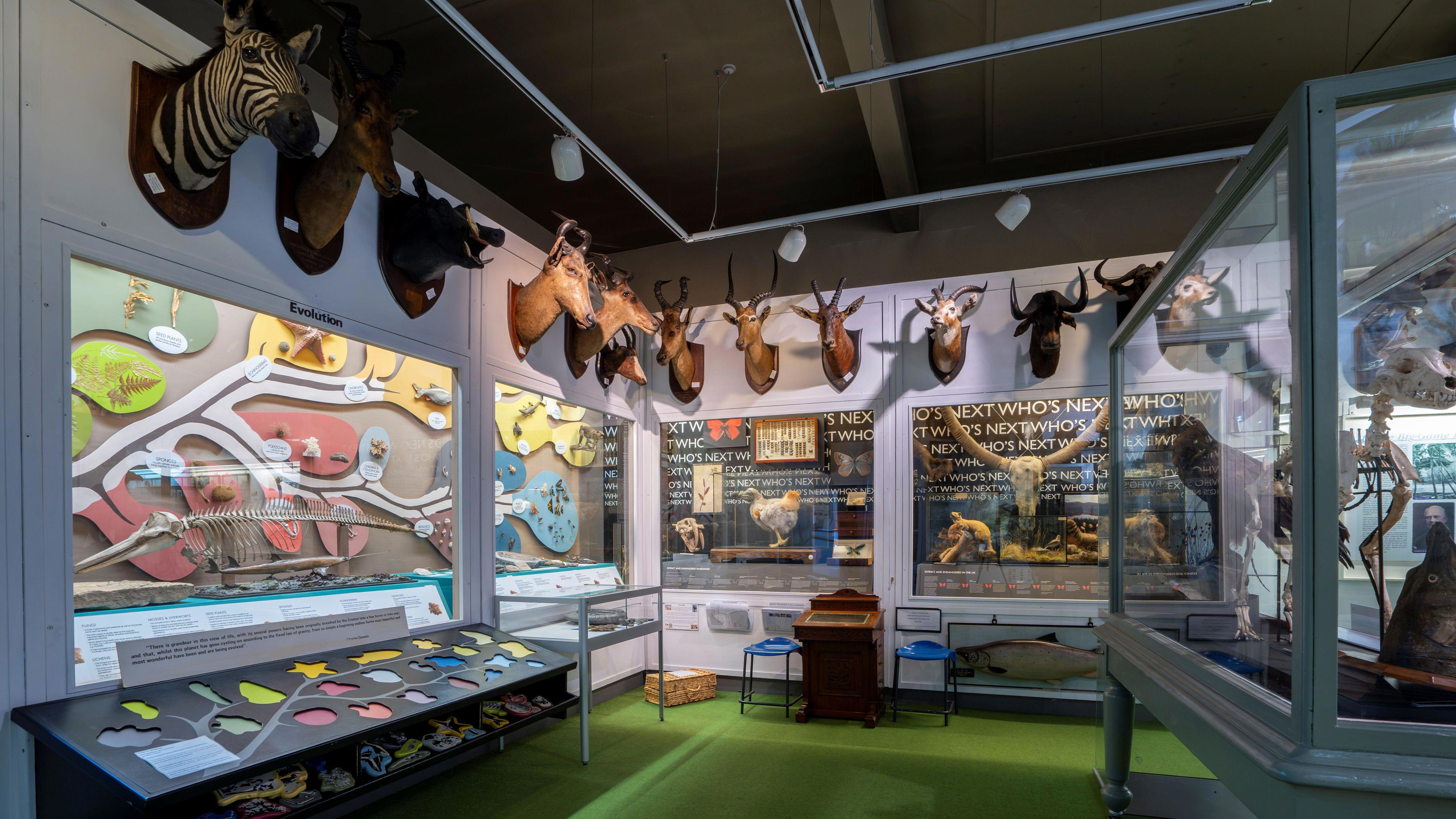 Grant for museum display amid reparation calls